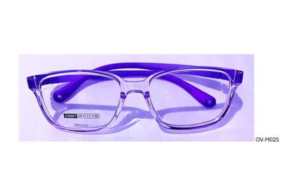 Diapositiva 6 - RD2500